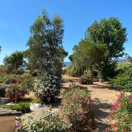 Corse Studio 