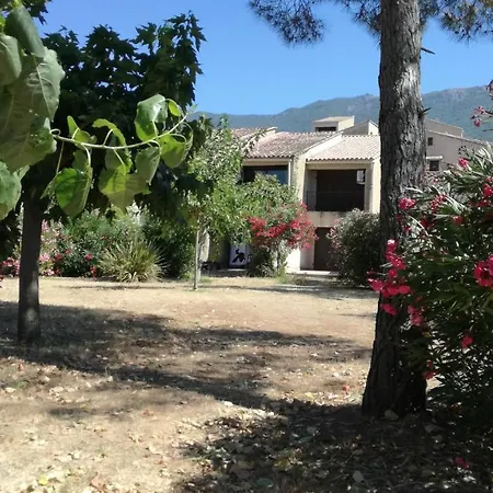Corse Studio 